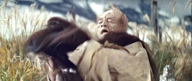 black hair black hair